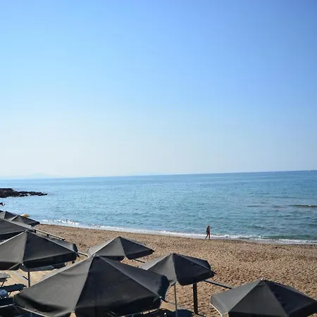 Otel Krini 4*